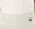 Haiti 2026/27 Away Soccer Jersey - White - Image 5