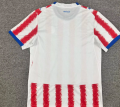Paraguay 2026/27 Home Soccer Jersey - Red/White - Image 7