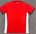 Panama 2026/27 Home Soccer Jersey - Image 8