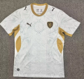 Czech Republic 2026/27 Away Soccer Jersey - White/Gold