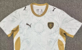 Czech Republic 2026/27 Away Soccer Jersey - White/Gold - Image 4