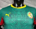 Senegal 2026/27 Away Soccer Jersey - Green - Image 4