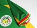 Senegal 2002 World Cup Away Retro Jersey – Green - Image 4